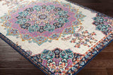 Outlook 9x13 Traditional Pink Area Rug Carpet for Living Room Bedroom or Kitchen (8'10" x 12'10")