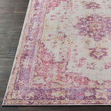 Everly Traditional Area Rug Carpet for Living Room Bedroom or Kitchen