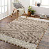 Eastorange 5x7 Outdoor Brown Area Rug Carpet for Living Room Bedroom or Kitchen (5'3