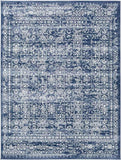 Hyeres Traditional Area Rug Carpet for Living Room Bedroom or Kitchen