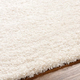 Elkriver Shag Area Rug Carpet for Living Room Bedroom or Kitchen