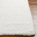 Elkriver Shag Area Rug Carpet for Living Room Bedroom or Kitchen