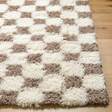 Bondurant Shag Area Rug for Living Room Bedroom or Kitchen