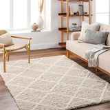 Blencoe 5x7 Shag Beige Area Rug Carpet for Living Room Bedroom or Kitchen (5'3" x 7'3")