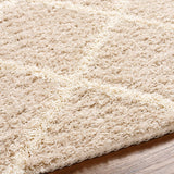 Blencoe 5x7 Shag Beige Area Rug Carpet for Living Room Bedroom or Kitchen (5'3" x 7'3")