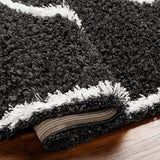 Blaine 5x7 Shag Black Area Rug Carpet for Living Room Bedroom or Kitchen (5'3" x 7'3")