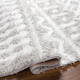 Carter Shag Area Rug Carpet for Living Room Bedroom or Kitchen