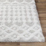 Carter Shag Area Rug Carpet for Living Room Bedroom or Kitchen