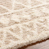 Booth Shag Area Rug Carpet for Living Room Bedroom or Kitchen