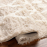 Booth Shag Area Rug Carpet for Living Room Bedroom or Kitchen