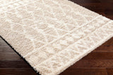 Booth Shag Area Rug Carpet for Living Room Bedroom or Kitchen