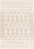 Booth Shag Area Rug Carpet for Living Room Bedroom or Kitchen