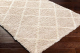 Blencoe 5x7 Shag Beige Area Rug Carpet for Living Room Bedroom or Kitchen (5'3" x 7'3")