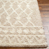 Booth Shag Area Rug Carpet for Living Room Bedroom or Kitchen