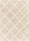 Blencoe 5x7 Shag Beige Area Rug Carpet for Living Room Bedroom or Kitchen (5'3" x 7'3")