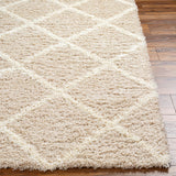 Blencoe 5x7 Shag Beige Area Rug Carpet for Living Room Bedroom or Kitchen (5'3" x 7'3")