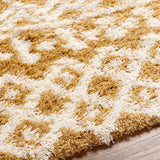 Carter Shag Area Rug Carpet for Living Room Bedroom or Kitchen