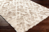 Boardman 5x7 Shag Beige Area Rug Carpet for Living Room Bedroom or Kitchen (5'3" x 7'3")