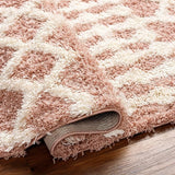 Carter Shag Area Rug Carpet for Living Room Bedroom or Kitchen