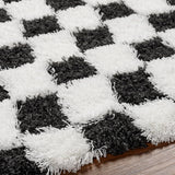 Bondurant Shag Area Rug for Living Room Bedroom or Kitchen