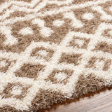 Carter Shag Area Rug Carpet for Living Room Bedroom or Kitchen