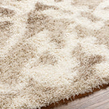 Boardman 5x7 Shag Beige Area Rug Carpet for Living Room Bedroom or Kitchen (5'3" x 7'3")