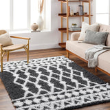 Booth Shag Area Rug Carpet for Living Room Bedroom or Kitchen