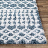 Carter Shag Area Rug Carpet for Living Room Bedroom or Kitchen