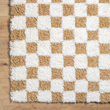 Bondurant Shag Area Rug for Living Room Bedroom or Kitchen