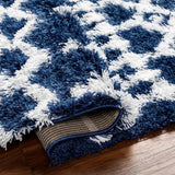 Carter Shag Area Rug Carpet for Living Room Bedroom or Kitchen