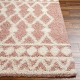 Booth Shag Area Rug Carpet for Living Room Bedroom or Kitchen