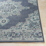 Lyla Outdoor Area Rug Carpet for Living Room Bedroom or Kitchen