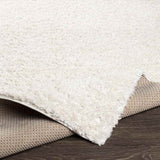 Vere Solid and Border Area Rug Carpet for Living Room Bedroom or Kitchen