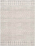 Shepshed Modern Area Rug Carpet for Living Room, Bedroom or Kitchen