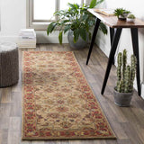 Paris Traditional Area Rug Carpet for Living Room Bedroom or Kitchen