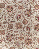 Granum Transitional Area Rug Carpet for Living Room Bedroom or Kitchen