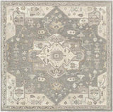 Roblin Traditional Area Rug Carpet for Living Room Bedroom or Kitchen