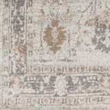 Hatsum Traditional Beige Area Rug Carpet for Living Room Bedroom or Kitchen