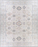 Northutica Traditional Beige Area Rug Carpet for Living Room Bedroom or Kitchen