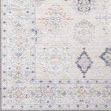 Northutica Traditional Beige Area Rug Carpet for Living Room Bedroom or Kitchen