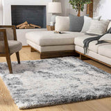 Lakebarrington Shag Area Rug Carpet for Living Room Bedroom or Kitchen