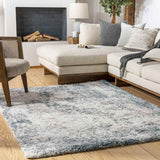 Lakebarrington Shag Area Rug Carpet for Living Room Bedroom or Kitchen