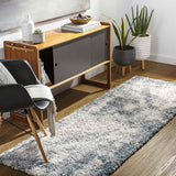 Lakebarrington Shag Area Rug Carpet for Living Room Bedroom or Kitchen