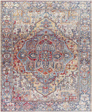 Manche Traditional Area Rug Carpet for Living Room Bedroom or Kitchen