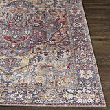 Manche Traditional Area Rug Carpet for Living Room Bedroom or Kitchen