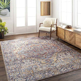 Manche Traditional Area Rug Carpet for Living Room Bedroom or Kitchen