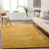 Vere Solid and Border Area Rug Carpet for Living Room Bedroom or Kitchen