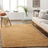 Vere Solid and Border Area Rug Carpet for Living Room Bedroom or Kitchen