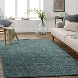 Vere Solid and Border Area Rug Carpet for Living Room Bedroom or Kitchen