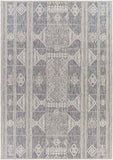 Ireton Outdoor Area Rug Carpet for Living Room Bedroom or Kitchen